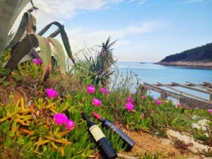 Wine tasting on Lopud island is what makes the teambuilding jolly 