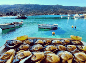 Enjoying fresh oysters on Peljesac